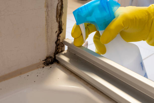Water Damage Restoration in Bayou Country Clu, LA