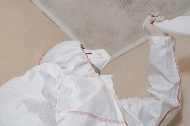 Crawl Space Mold Removal in Bayou Country Clu, LA